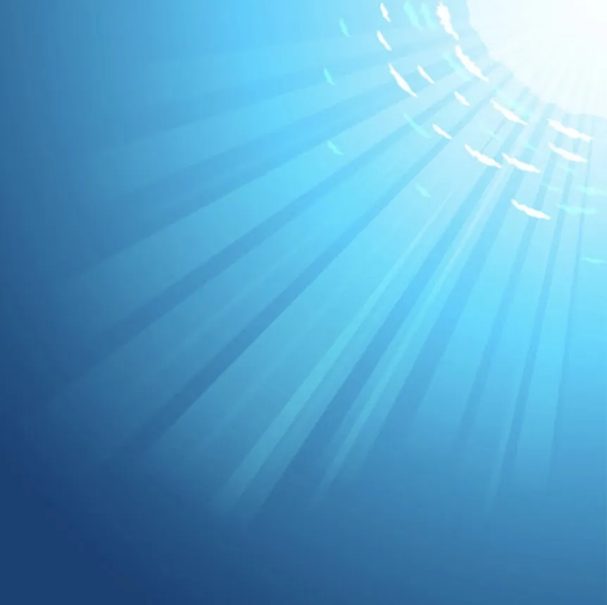 Awaken to Your True Self