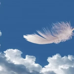 Navigating Life With Ease • mp3