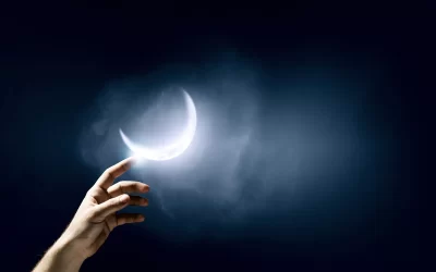 There’s Nothing Out of Reach